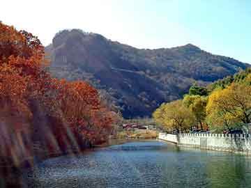 澳门天天彩期期精准平肖，上海排水板